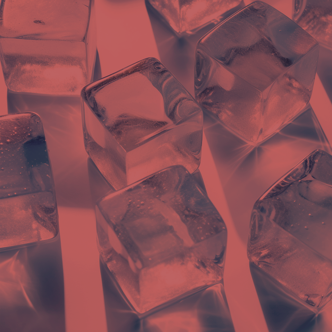 REFRIGERAZIONE E CONSERVAZIONE