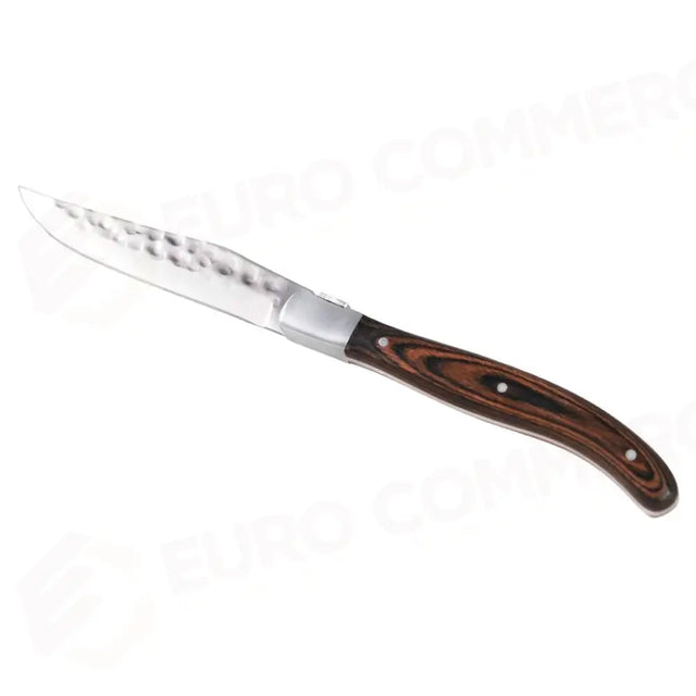 MEDRI SKL-05 SMOOTH BLADE DAMASK STEAK KNIFE 220 MM - 13650184 - MEDRI