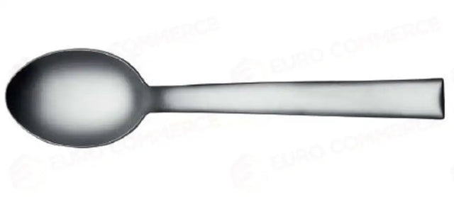 SALVINELLI VIP ICE CUILLÈRE DE SERVICE - 124865 - MORINI