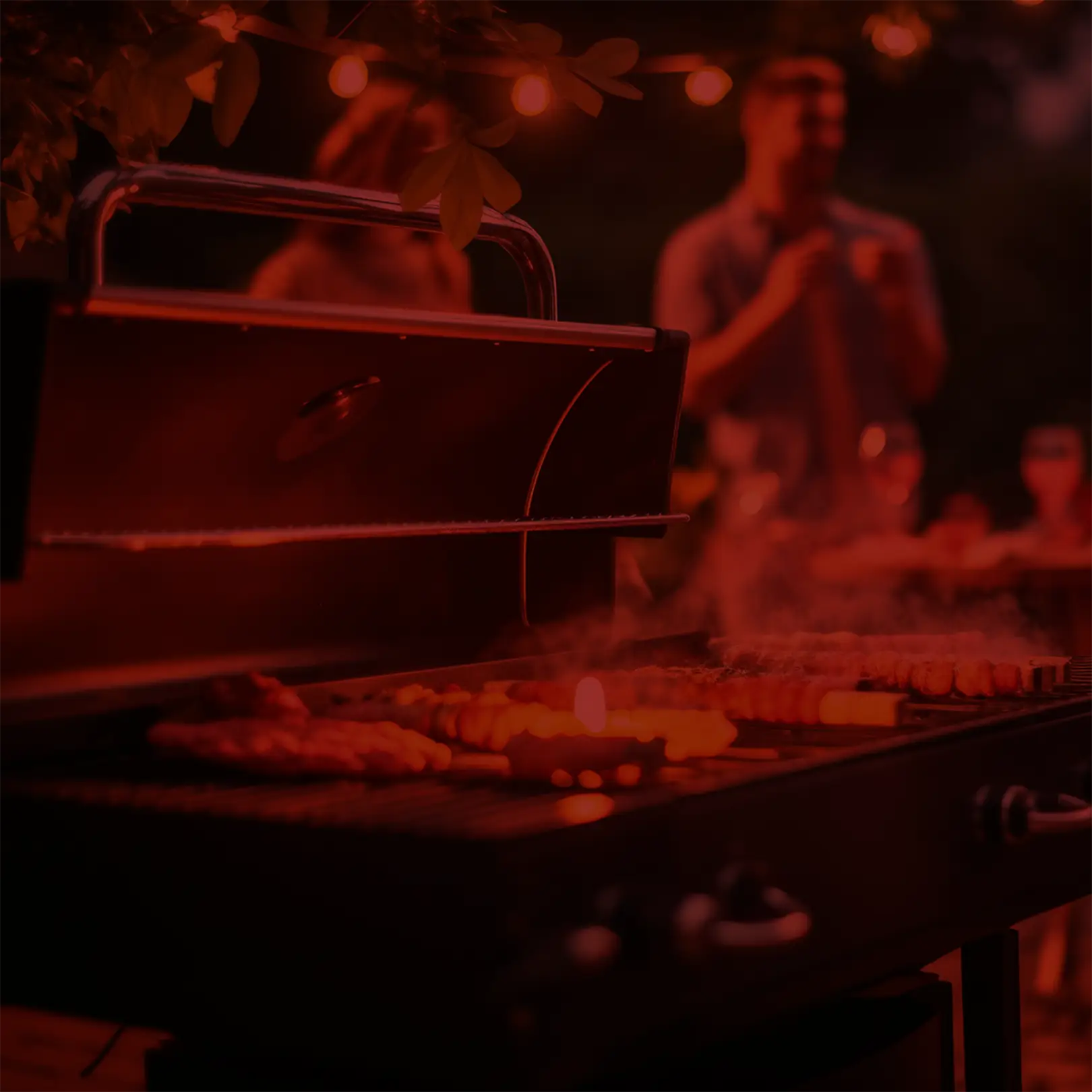 BARBECUE E GRIGLIE PROFESSIONALI