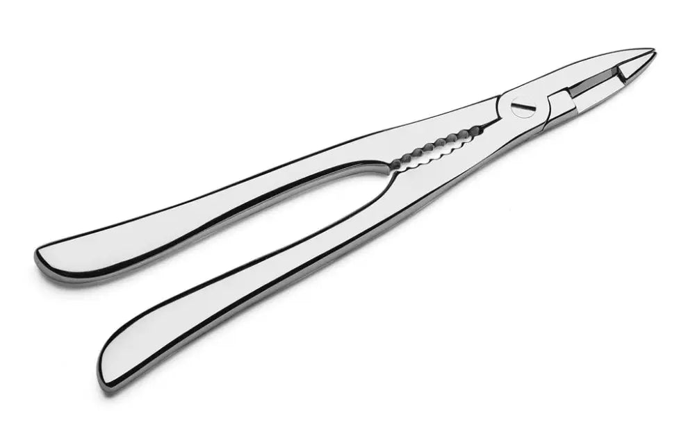 PINZA ARAGOSTA 20,6 CM ESCLUSIVI 074000AG PINTI - 6730102 - MEDRI