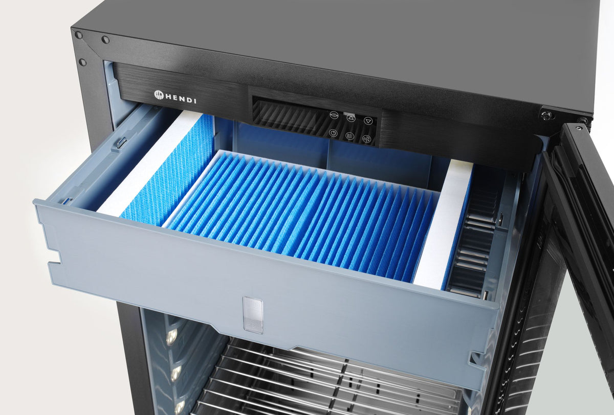 ARMADIO PER LA FROLLATURA DELLA CARNE - DRY AGE, ARKTIC, 352L, GRIGIO SCURO, 230V/170W, 760X695X(H)1 - 204986