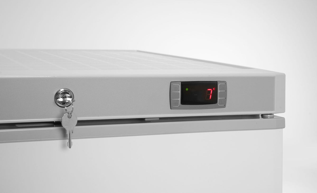 ARMADIO DI CONGELAMENTO CON STRUTTURA ESTERNA IN ACCIAIO VERNICIATO BIANCO, ARKTIC, BUDGET LINE, 100 - 236062