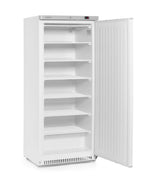 ARMADIO DI CONGELAMENTO BUDGET LINE CON STRUTTURA ESTERNA IN ACCIAIO VERNICIATO BIANCO, ARKTIC, BUDG - 236109