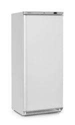 ARMADIO DI CONGELAMENTO BUDGET LINE CON STRUTTURA ESTERNA IN ACCIAIO VERNICIATO BIANCO, ARKTIC, BUDG - 236109