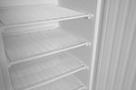 ARMADIO DI CONGELAMENTO BUDGET LINE CON STRUTTURA ESTERNA IN ACCIAIO VERNICIATO BIANCO, ARKTIC, BUDG - 236109
