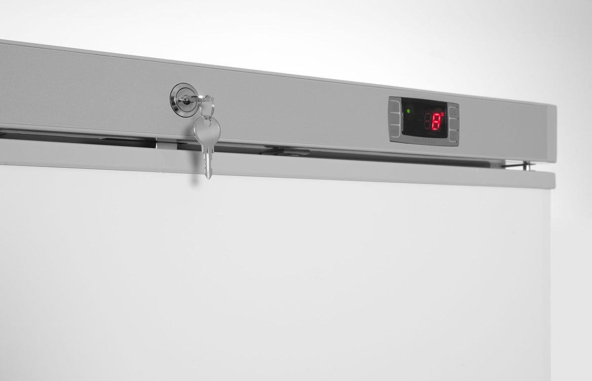 ARMADIO DI CONGELAMENTO BUDGET LINE CON STRUTTURA ESTERNA IN ACCIAIO VERNICIATO BIANCO, ARKTIC, BUDG - 236109