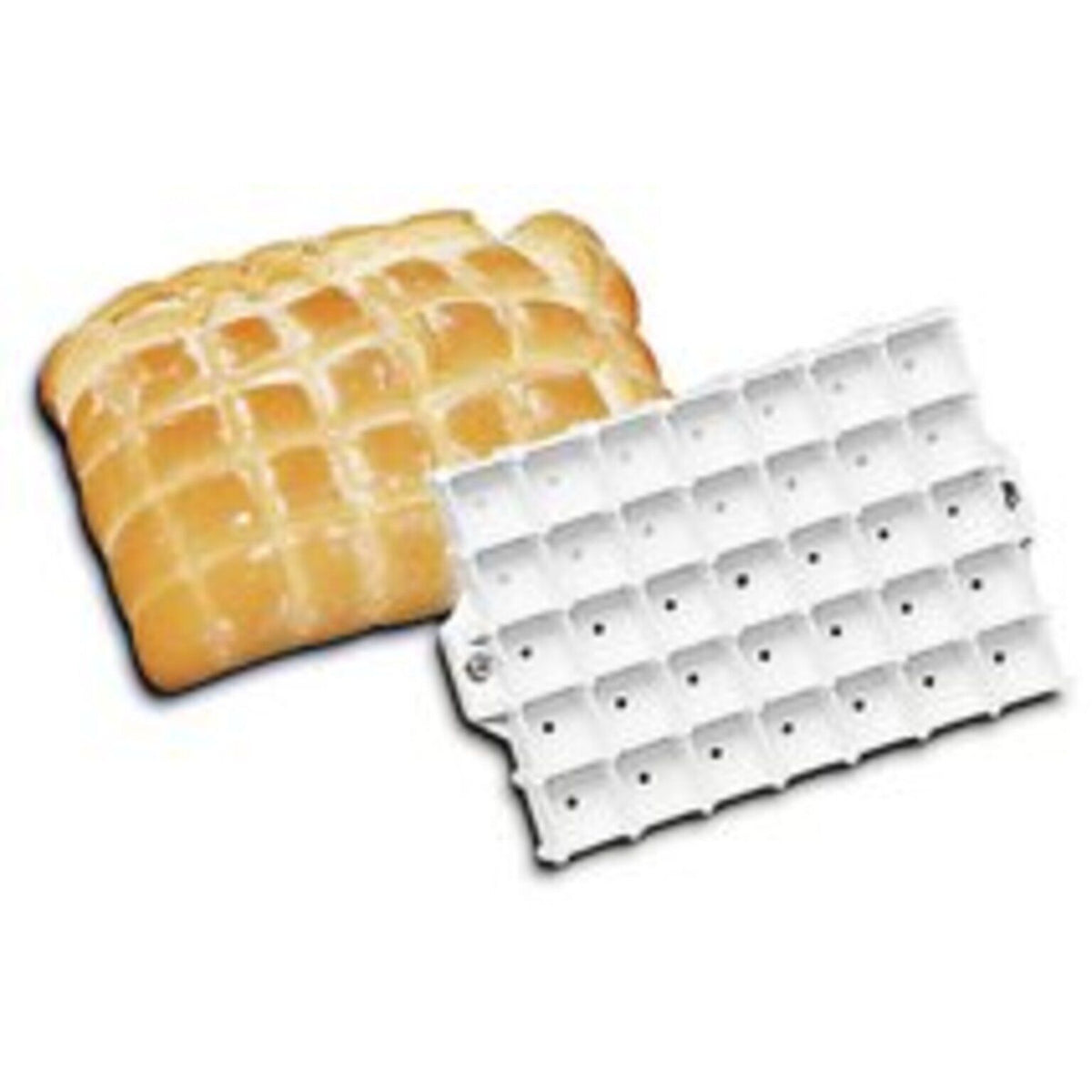STAMPO PANE TARTARUGA - ARTICOLI CUCINA E PASTICCERIA - PADERNO