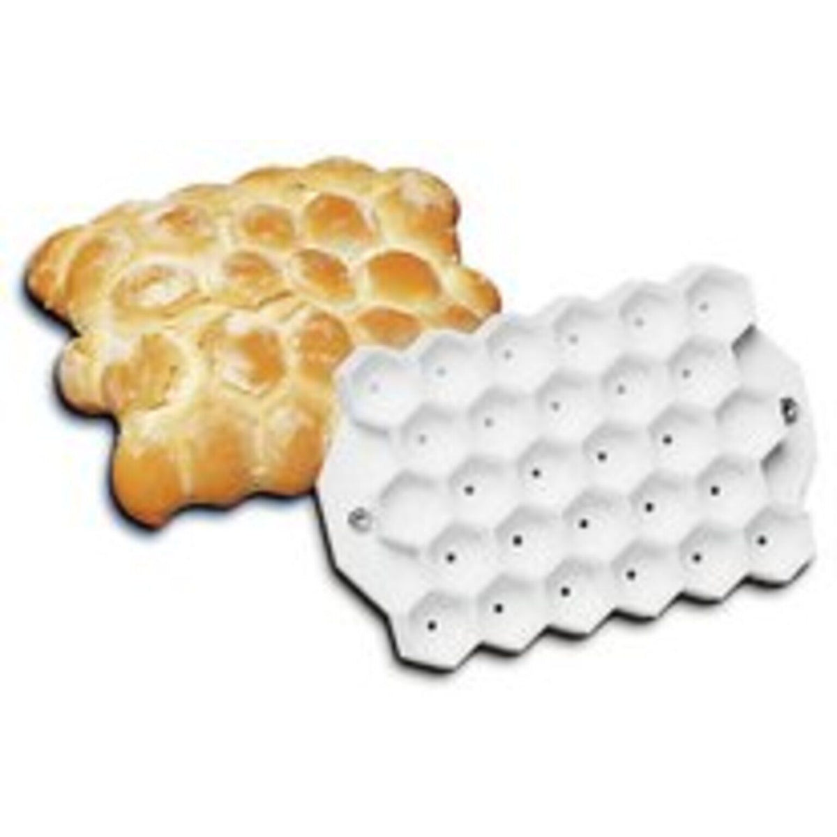 STAMPO PANE TARTARUGA - ARTICOLI CUCINA E PASTICCERIA - PADERNO