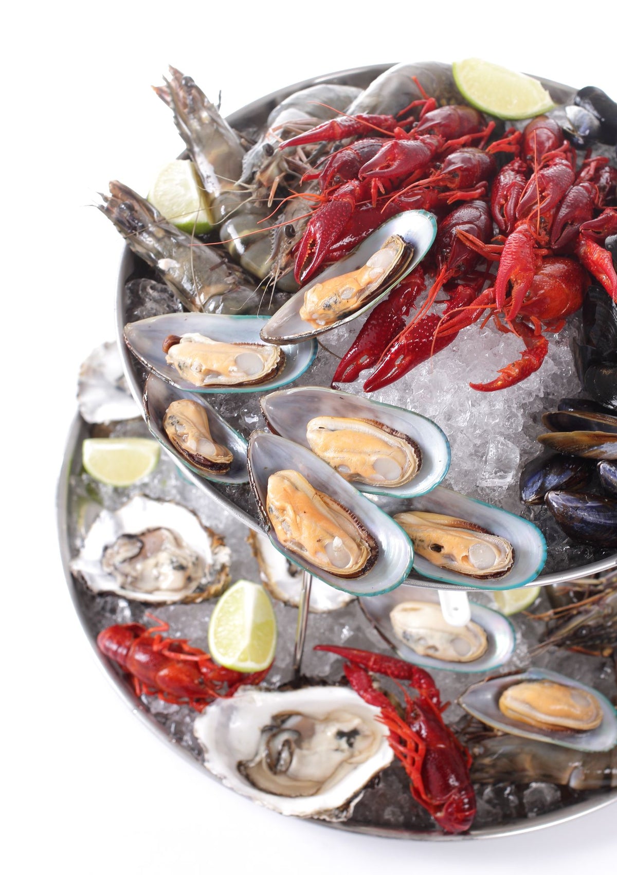 ESPOSITORE PER FRUTTI DI MARE, HENDI, Ø400X(H)200MM - 480519