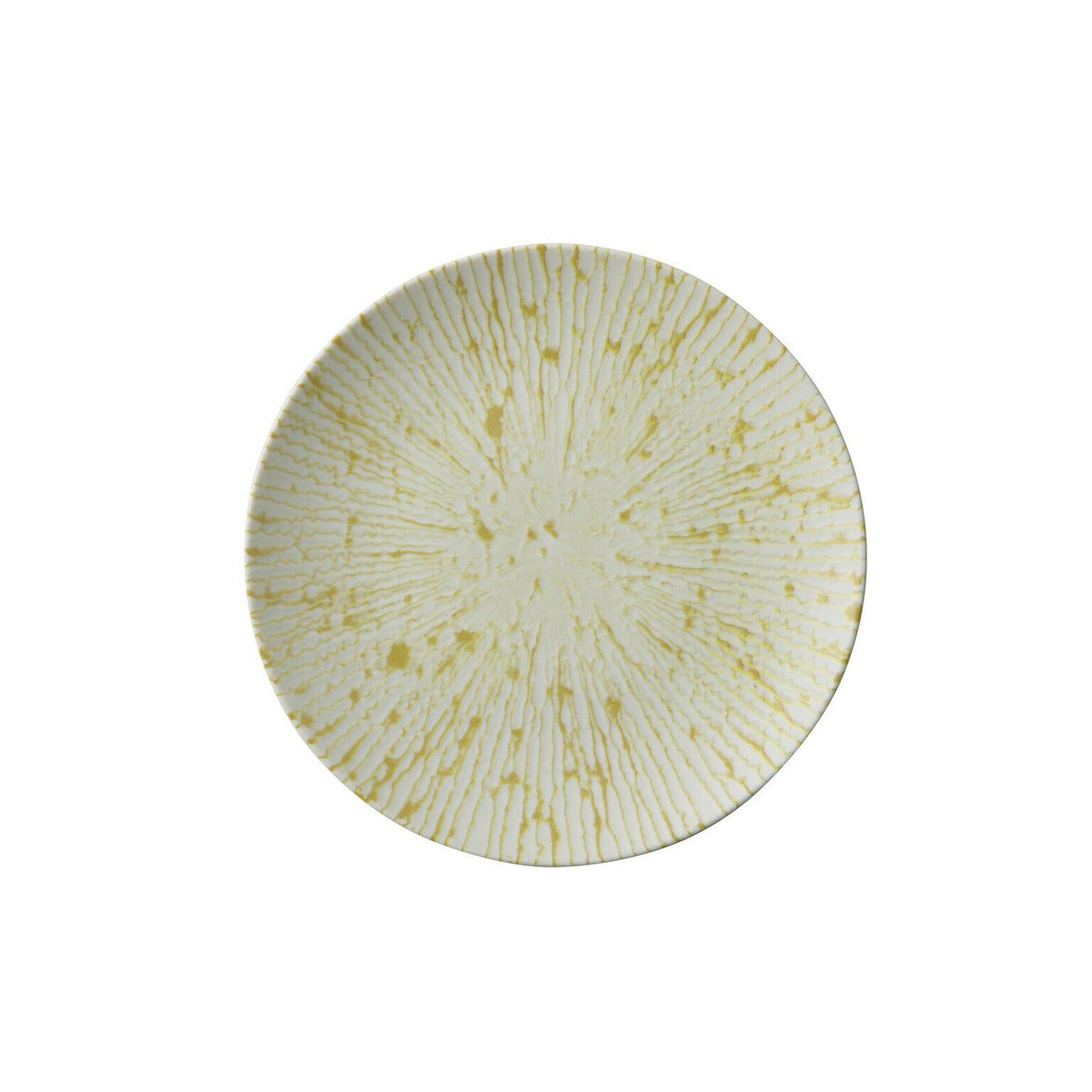 PIATTO PIANO - GOLDEN RAY - PADERNO