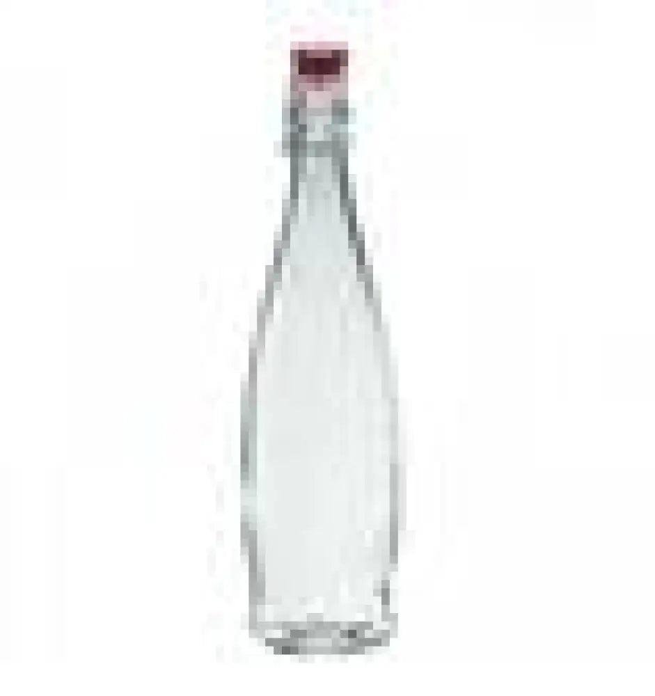 BOTTIGLIA 100 CL INDRO 13150018 BORGONOVO - 2780368 - MEDRI
