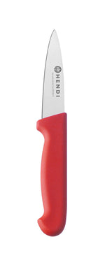 COLTELLO DA SPELUCCHINO, 100 MM, HACCP, HENDI, PROFI LINE, VERDE, (L)204MM - 845691
