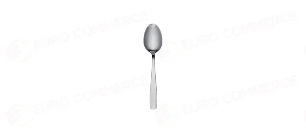AMERICA ABERT CUCCHIAIO FRUTTA - 67897 - MORINI