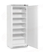 ARMADIO DI CONGELAMENTO BUDGET LINE CON STRUTTURA ESTERNA IN ACCIAIO VERNICIATO BIANCO ARKTIC BUDG