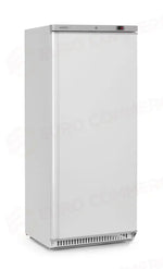 ARMADIO DI CONGELAMENTO BUDGET LINE CON STRUTTURA ESTERNA IN ACCIAIO VERNICIATO BIANCO ARKTIC BUDG