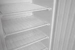 ARMADIO DI CONGELAMENTO BUDGET LINE CON STRUTTURA ESTERNA IN ACCIAIO VERNICIATO BIANCO ARKTIC BUDG