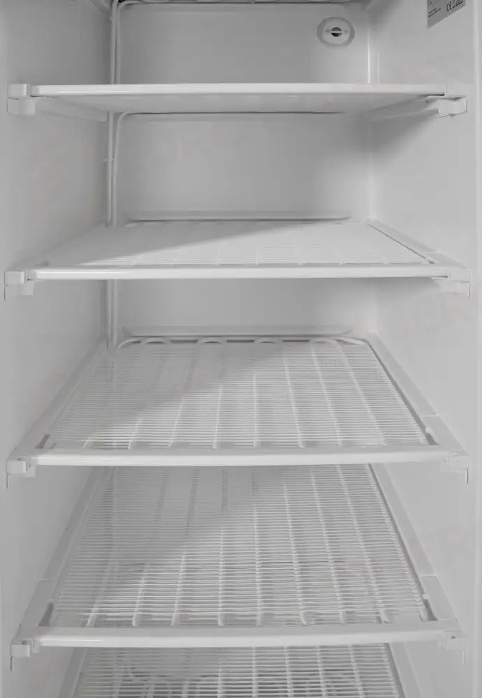 ARMADIO DI CONGELAMENTO CON STRUTTURA ESTERNA IN ACCIAIO VERNICIATO BIANCO ARKTIC BUDGET LINE 260