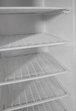 ARMADIO DI CONGELAMENTO CON STRUTTURA ESTERNA IN ACCIAIO VERNICIATO BIANCO ARKTIC BUDGET LINE 260