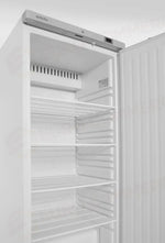 ARMADIO DI RAFFREDDAMENTO IN UN ALLOGGIAMENTO ACCIAIO VERNICIATO BIANCO ARKTIC BUDGET LINE 455