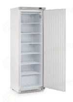 ARMADIO PER CONGELAMENTO IN UN INVOLUCRO ACCIAIO INOSSIDABILE ARKTIC BUDGET LINE 260L 230V/28