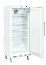 ARMADIO REFRIGERATO EURONORM 600X400MM (CLASSE B) +2°/+8°C - BY 460 - COOL HEAD