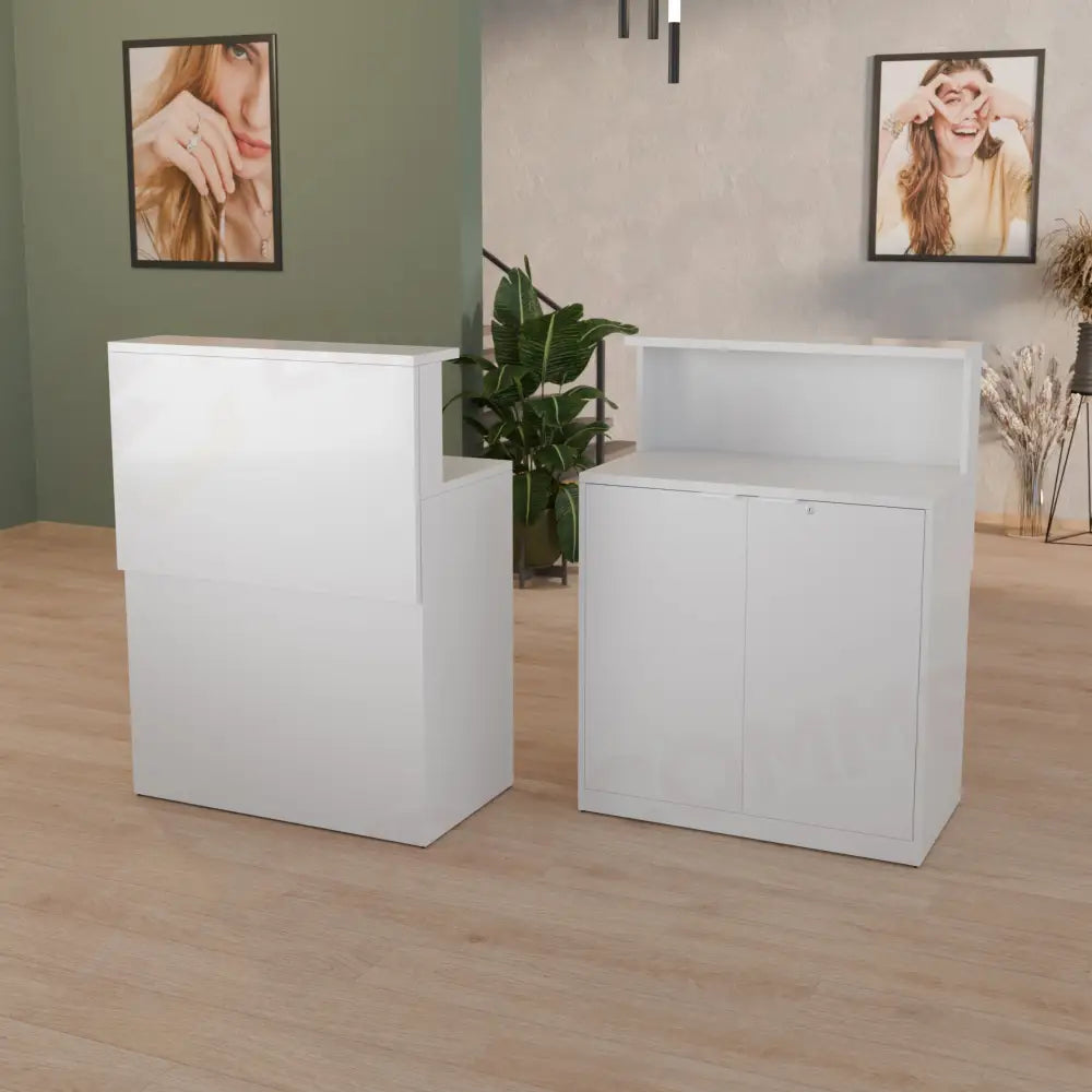 BANCHI VENDITA LAMINATO 90X50X120 CM - 90/BA + 90/AF - ITALVETRINE