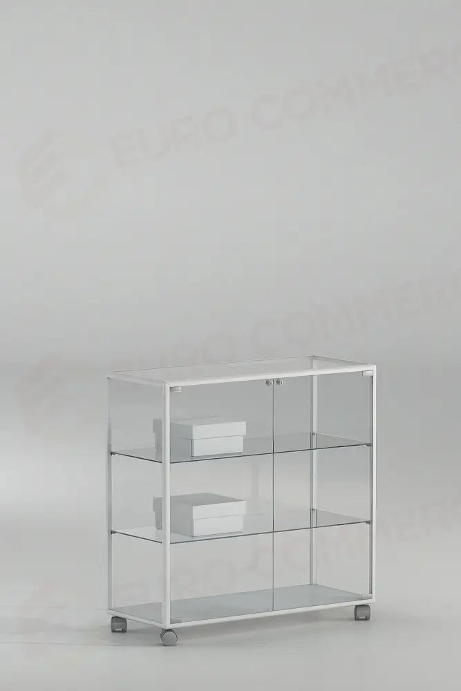 BANCHI VENDITA VETRINE ALLUMINIO ALLDESIGN + PLUS 91X37X90 CM - 91/BP - ITALVETRINE