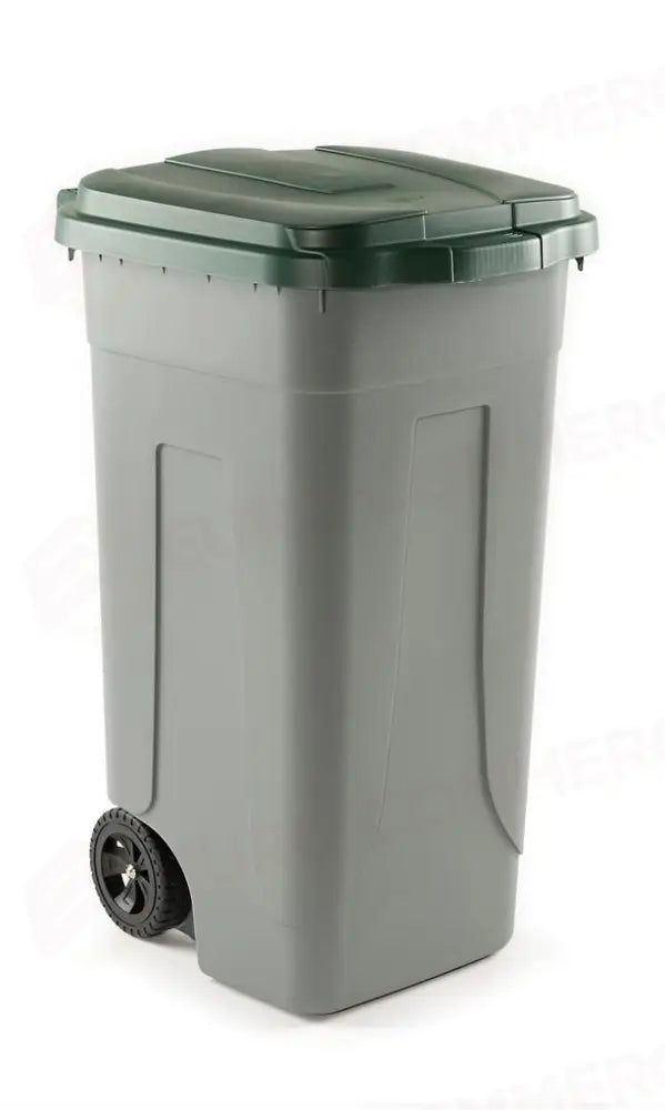 BIDONE RACCOLTA DIFFERENZIATA 100 LT GRIGIO/VERDE 100 SSS - 2540298 - MEDRI