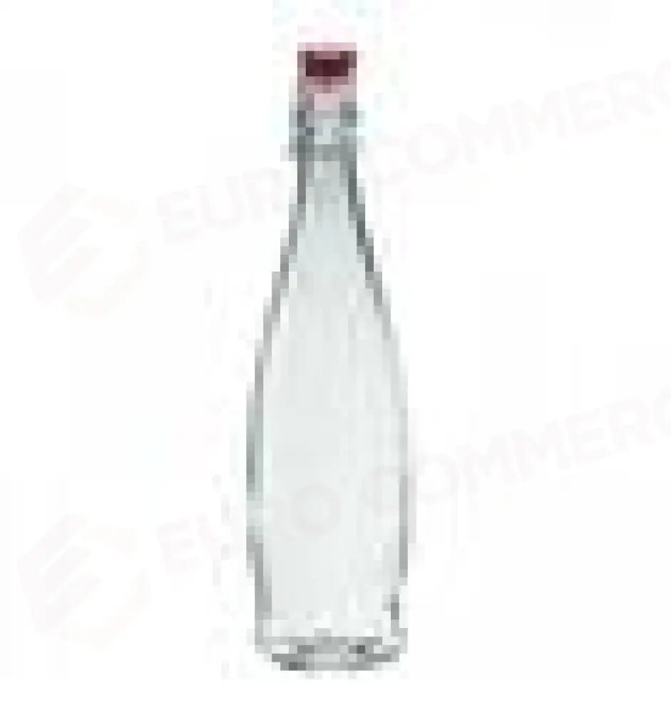 BOTTIGLIA 100 CL INDRO 13150018 BORGONOVO - 2780368 - MEDRI
