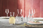CARAFFA WINE CON TACCA 59 CL YPSILON 1.25022 BORMIOLI ROCCO - 0411737 - MEDRI