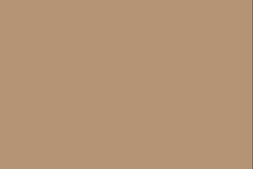 CARTINA ANTIGRASSO HAVANA HAVANA - 33X32,5 CM - H6133 - LEONE - CARTE ANTIGRASSO & PIZZI