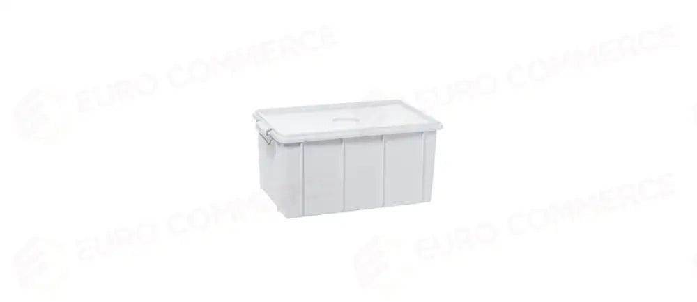 CASSETTA GIGA C/C 40X30X22 - 41265 - MORINI