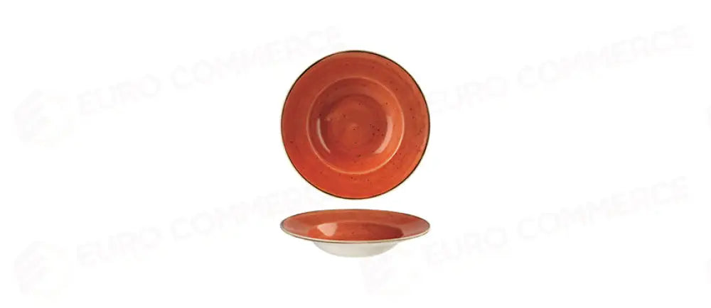 CH.STONE.ARA.PASTABOWL 24 -12- - 123273 - MORINI
