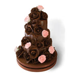CIOCCOLATO PLASTICO COLORATO 250 G MARRONE - CPCO250 - PAVONI ITALIA - ATTREZZATURA PROFESSIONALE
