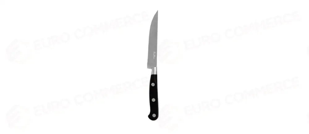 CLASSIC PINTI COLTELLO BISTECCA L/LISCIA - 137002 - MORINI