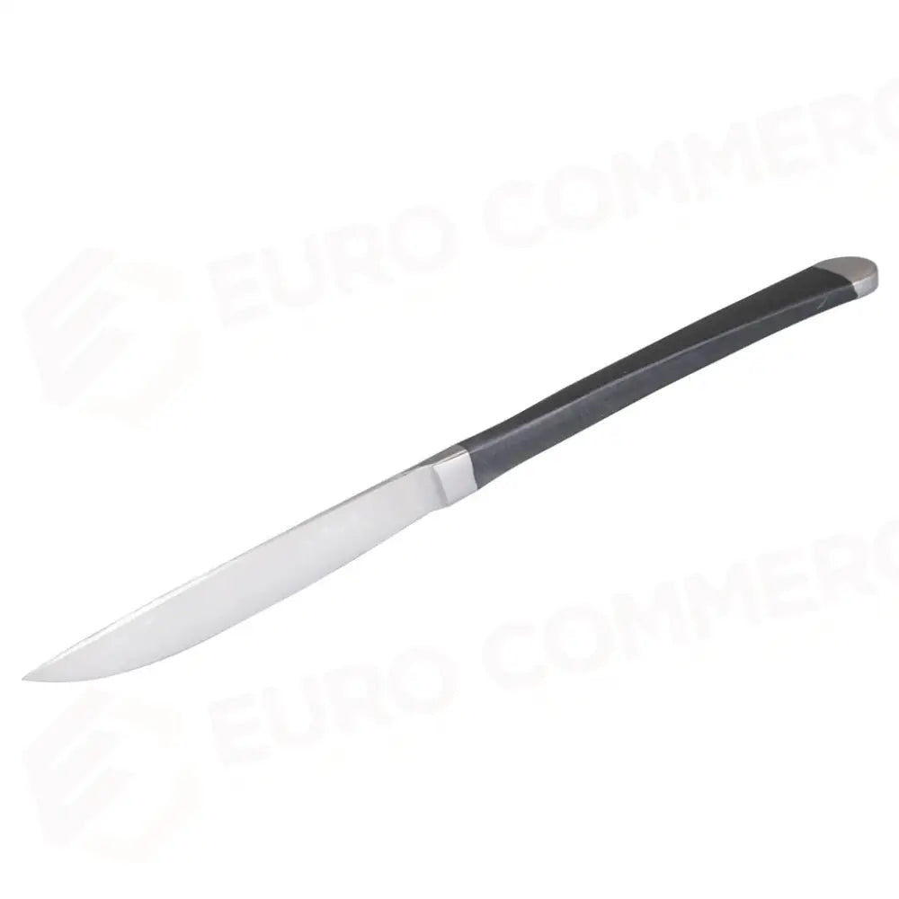 COLTELLO BISTECCA 235 MM AUDREY PINTI - 6731764 - MEDRI
