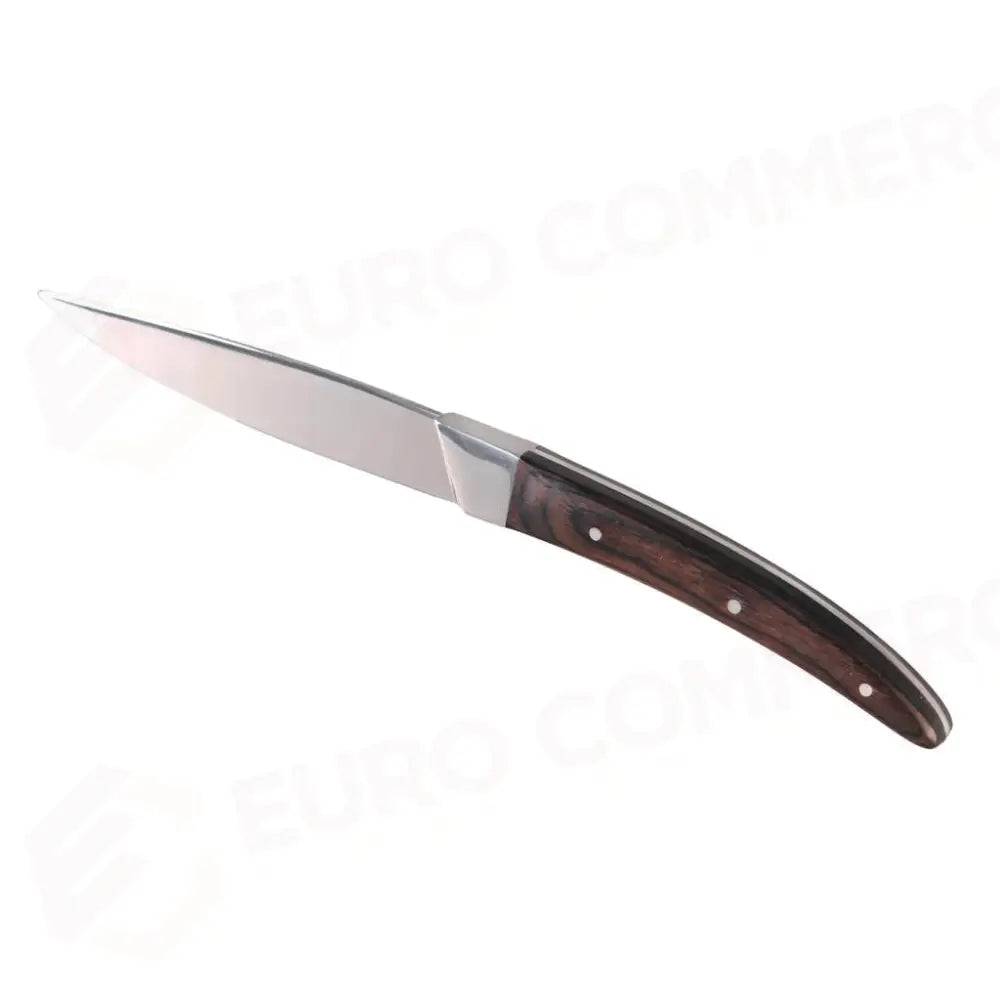 COLTELLO BISTECCA LAMA LISCIA 240 MM SKL-04 MEDRI - 13650183 - MEDRI