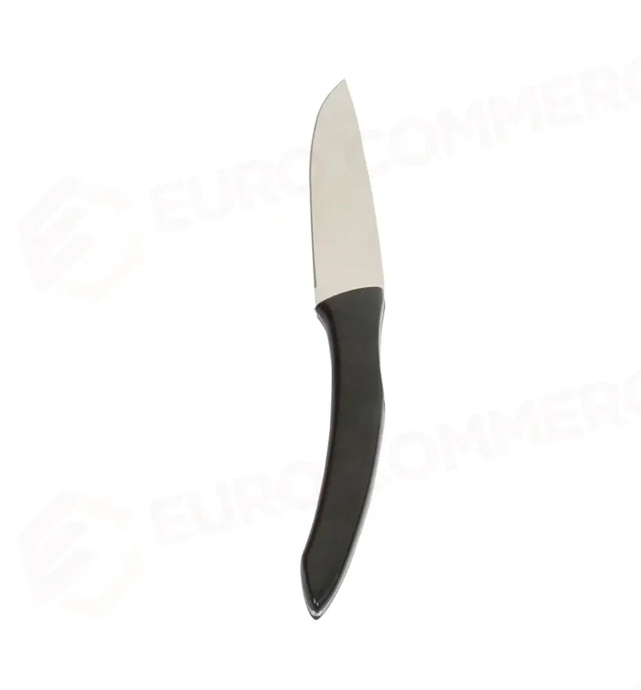 COLTELLO BISTECCA LISCIO FUEGO CFU55R ABERT - 0011990 - MEDRI
