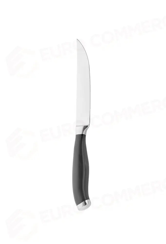 COLTELLO BISTECCA LISCIO PROFESSIONAL 741000EY PINTI - 6731018 - MEDRI