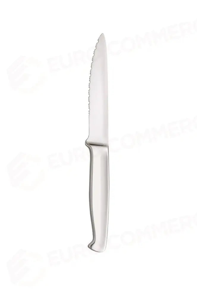 COLTELLO BISTECCA SEGHETTATO FIORENTINA ABERT - 0011533 - MEDRI