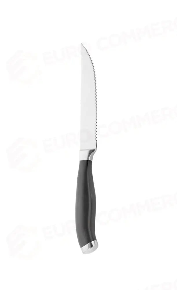 COLTELLO BISTECCA SEGHETTATO PROFESSIONAL 741000EU PINTI - 6731021 - MEDRI