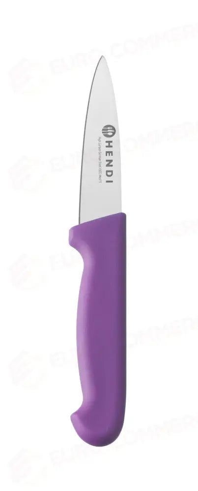 COLTELLO DA SPELUCCHINO 100 MM HACCP HENDI PROFI LINE BLU (L)204MM - 845684