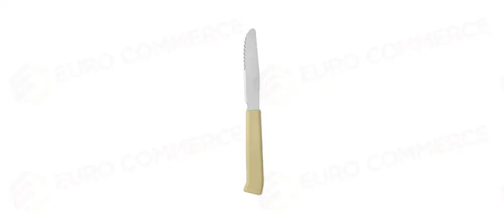 CONF.24 COLTELLO TAVOLA M/PLASTICA AVORIO - 139861 - MORINI