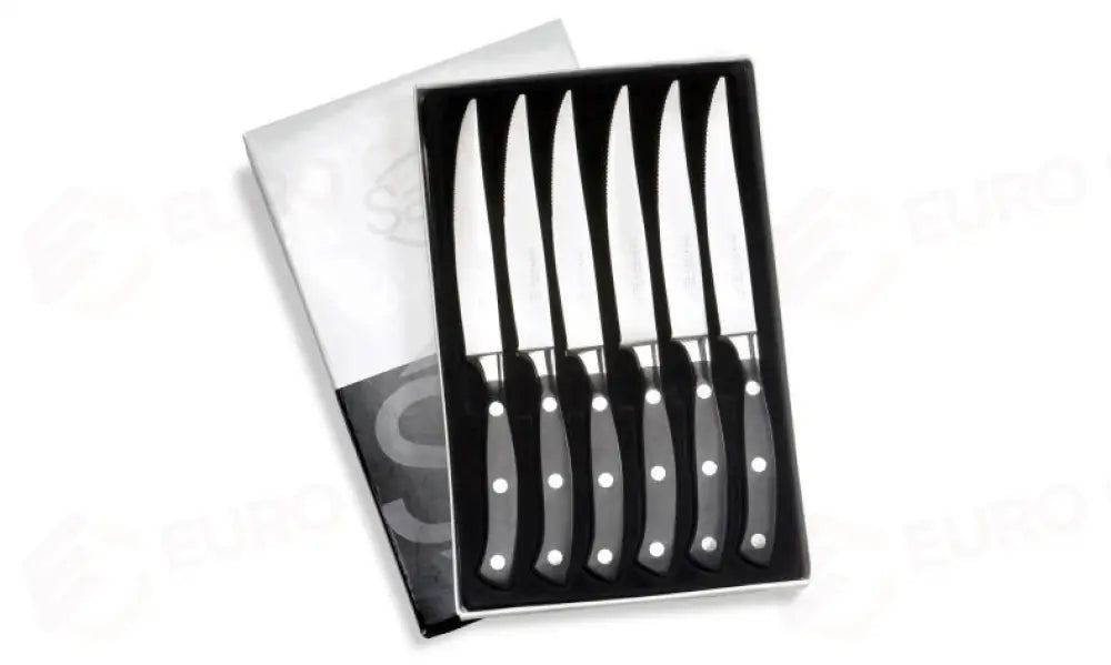 CONFEZIONE COSTATA LAMA SEGHETTATA 6 PZ. ERGOFORGE - 903906 - SANELLI - COLTELLERIA