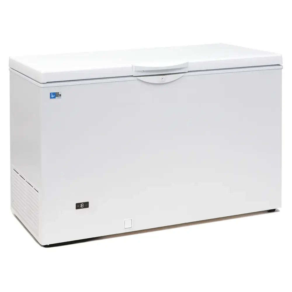 CONGELATORE A POZZETTO - AB 220 - TECFRIGO