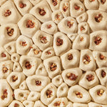 CORAL STAMPO IN SILICONE PER DECORO VASCHETTE GELATO 361,5 X 251,5 X H 21 MM - VOL. 1090 ML - TOP102S - PAVONI ITALIA