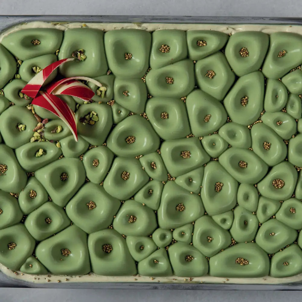 CORAL STAMPO IN SILICONE PER DECORO VASCHETTE GELATO PICCOLE MM 361,5X152X21,5 H ~ 651 ML - TOP105S - PAVONI ITALIA
