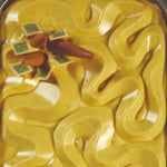 DUNE STAMPO TOPICE IN SILICONE PER DECORO VASCHETTE GELATO 361,5 X 251,5 X H 21 MM - VOL. 840 - TOP104S - PAVONI ITALIA