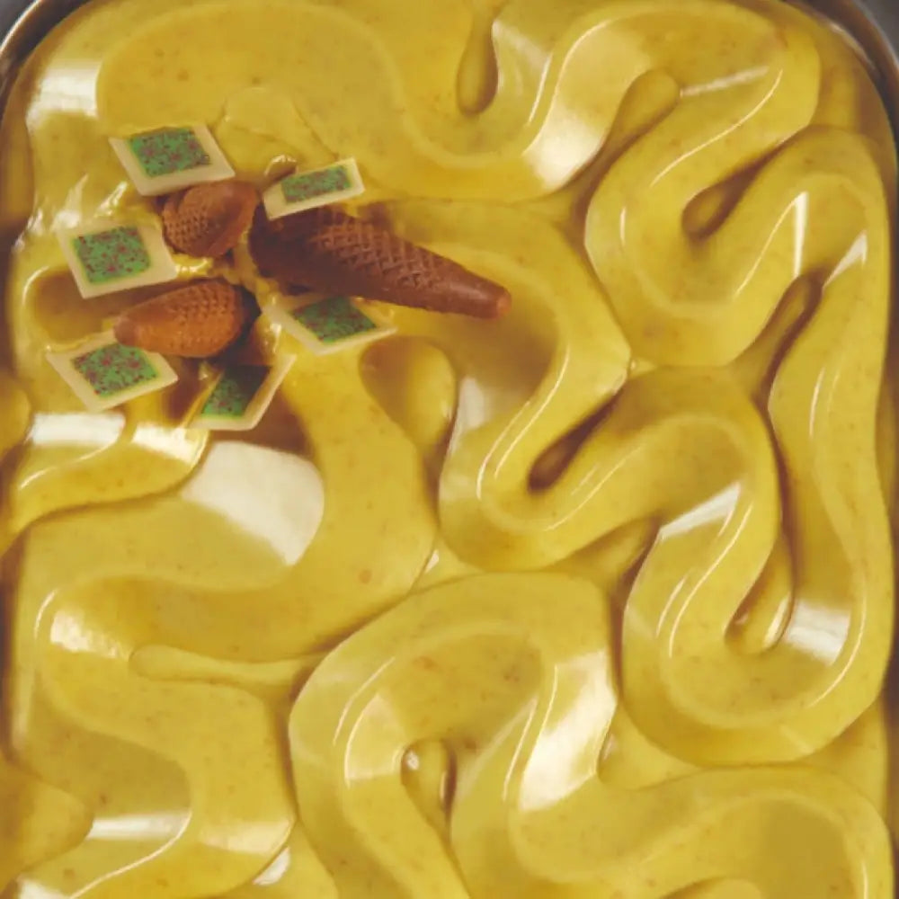 DUNE STAMPO TOPICE IN SILICONE PER DECORO VASCHETTE GELATO 361,5 X 251,5 X H 21 MM - VOL. 840 - TOP104S - PAVONI ITALIA